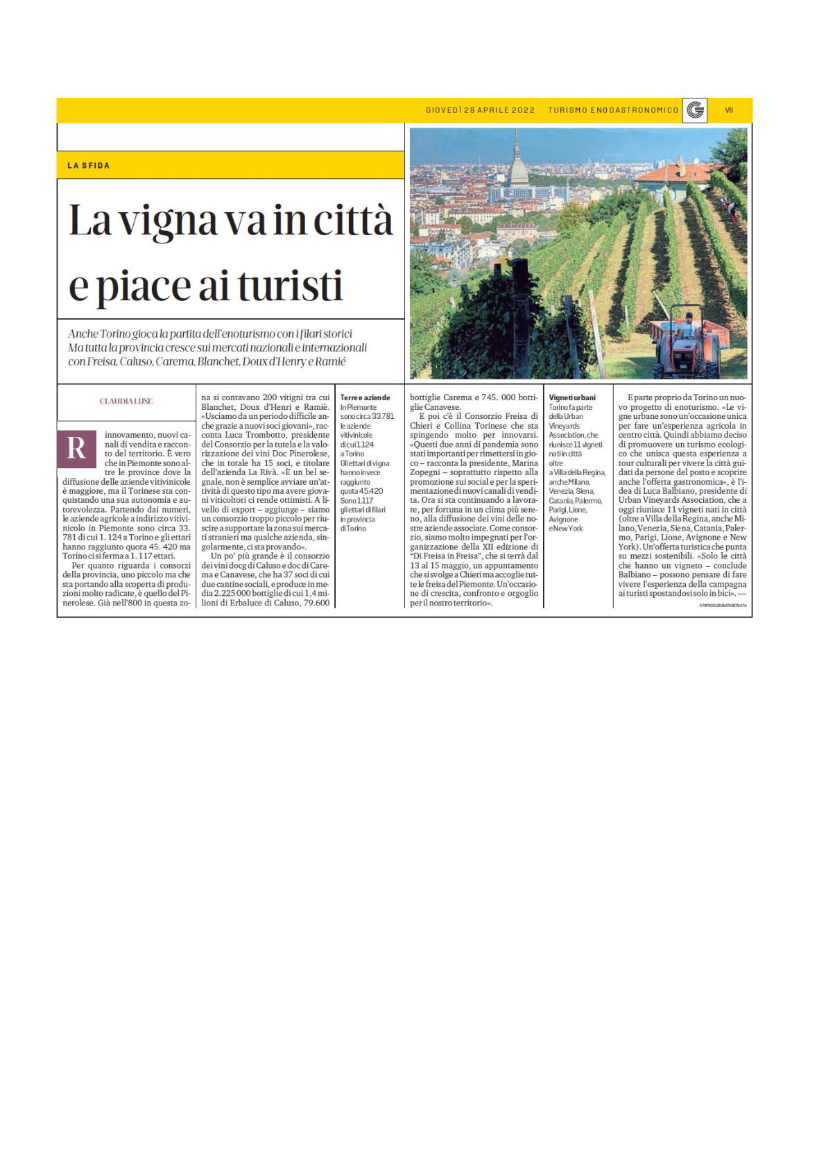 La vigna va in città e piace ai turisti