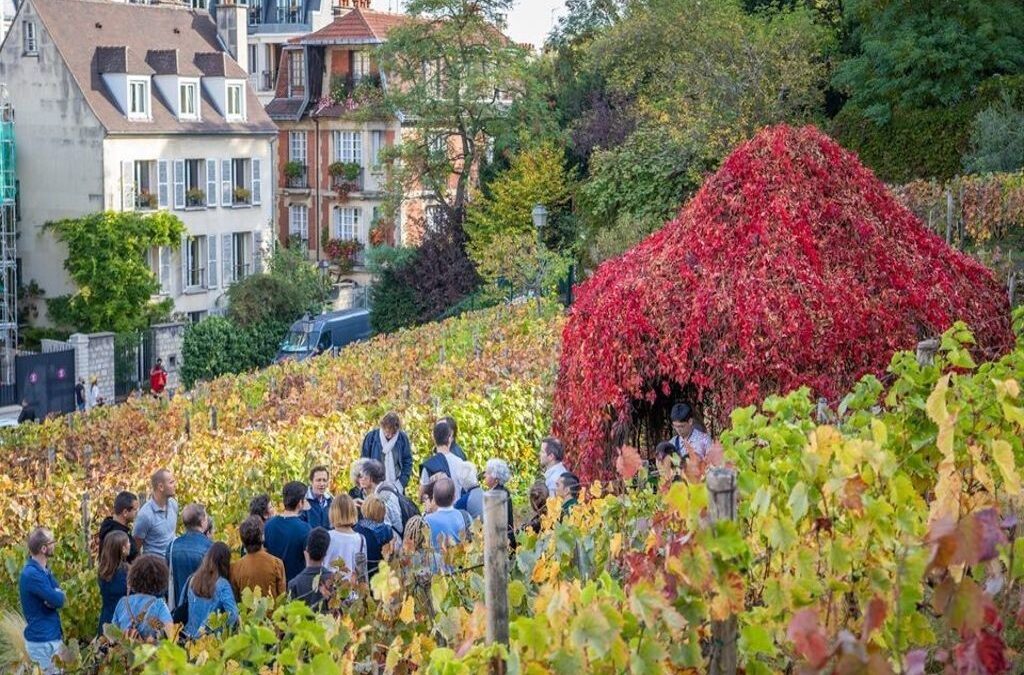 UVA alla Fête des Vendanges