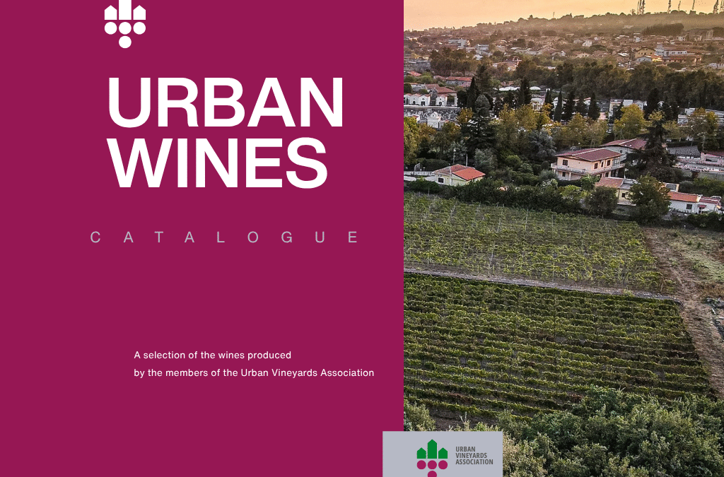 Rilascio del Catalogo Vini 2025