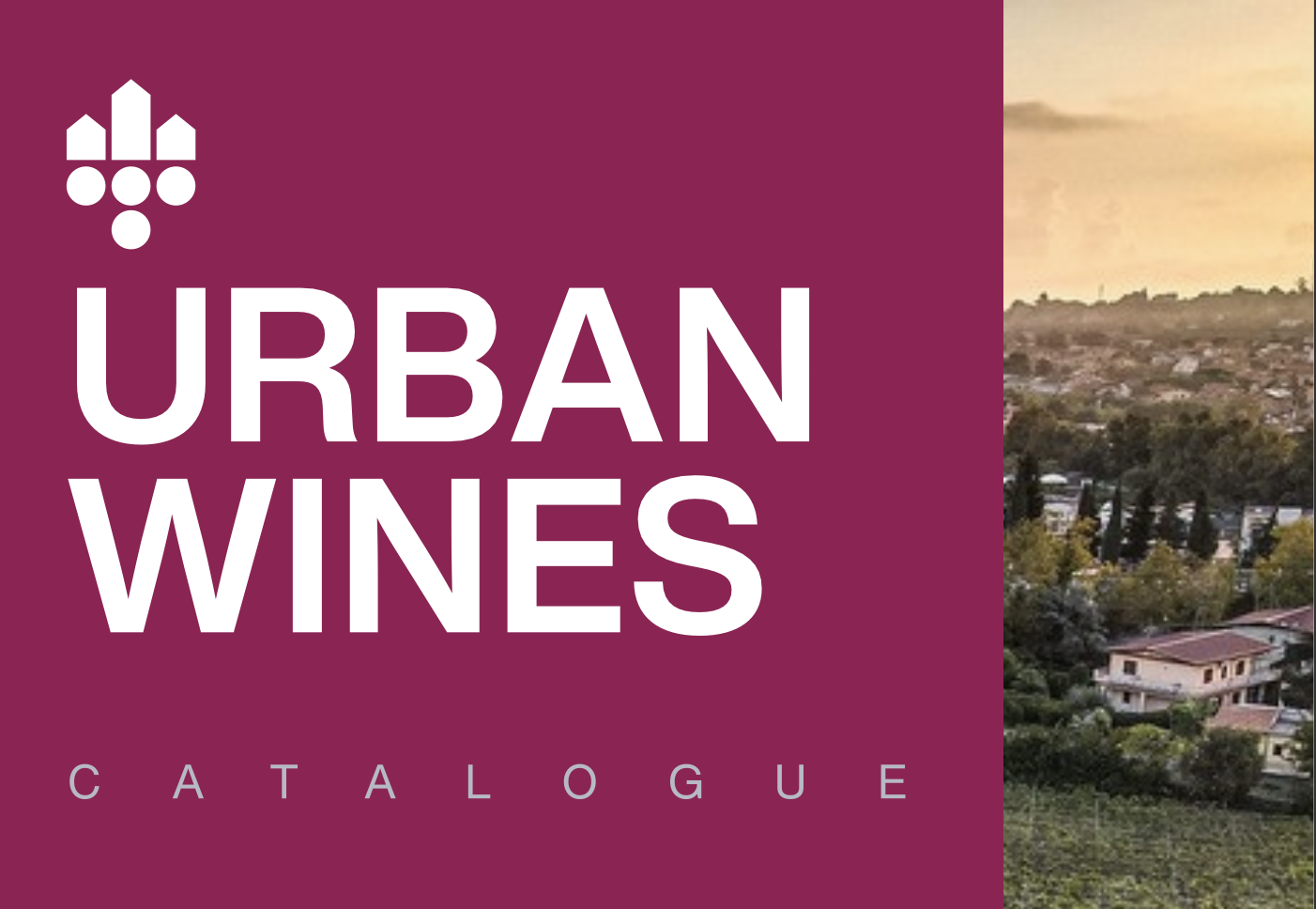 Second Edition of the Wine Catalogue: New Members and Exciting Additions to Our Collection!