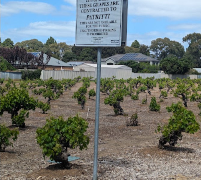 Patritti – Oaklands Estate Vineyards
