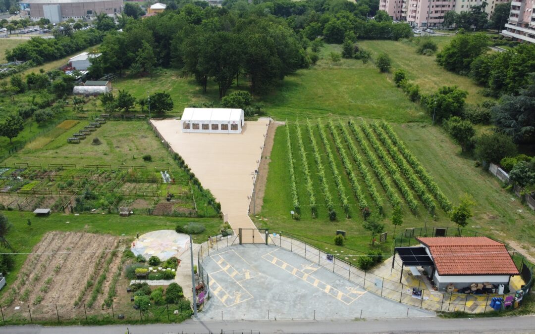 14 Gradi di Inclusione: il Vigneto AUTARI entra a far parte dell’Urban Vineyard Association